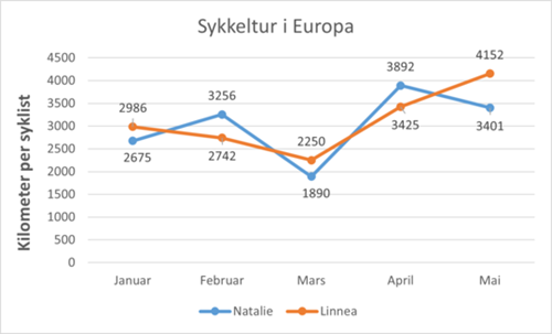 Numerisk resonnering øvelse - Ringnes